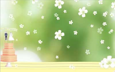 Sparkbooth wedding theme Sparkbooth wedding theme